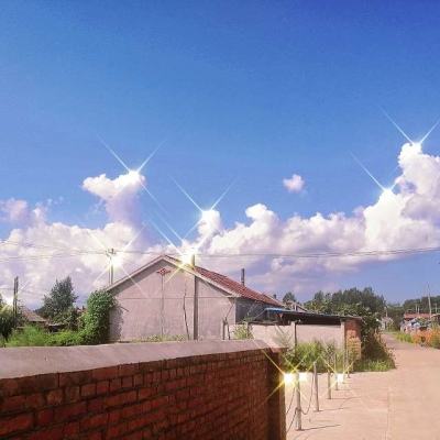 bte365真正的网站下载手机版